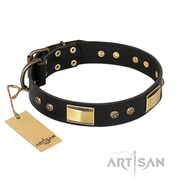 Fashionable natural leather dog collar for stylish walking