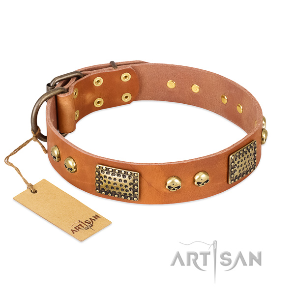 Easy to adjust natural leather dog collar for daily walking your doggie