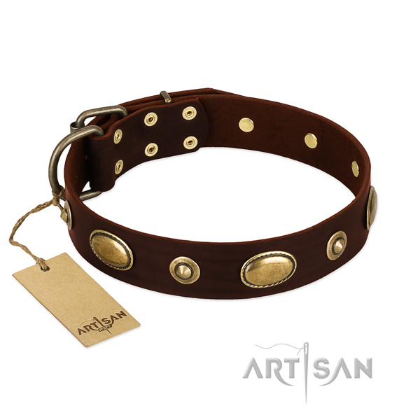 Designer leather collar for your doggie