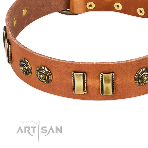 Durable embellishments on full grain genuine leather dog collar for your canine