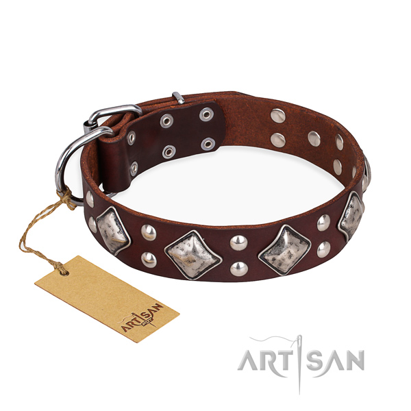 Comfy wearing significant dog collar with durable buckle
