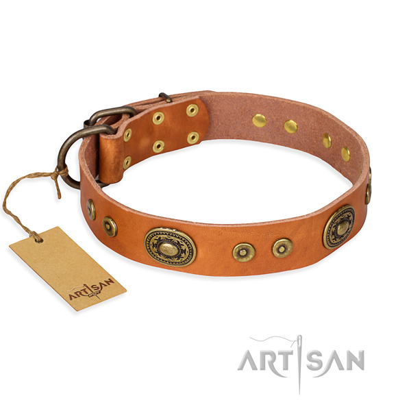 Full grain natural leather dog collar made of soft material with durable traditional buckle