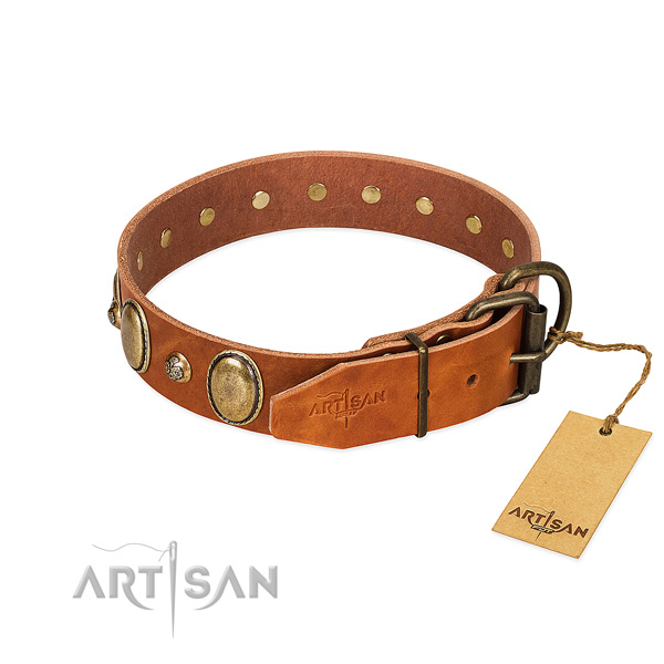 Daily use genuine leather dog collar
