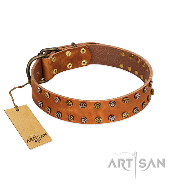 Everyday walking soft to touch full grain natural leather dog collar with decorations