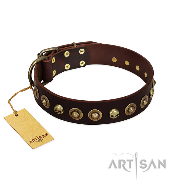 Full grain leather collar with stylish embellishments for your doggie