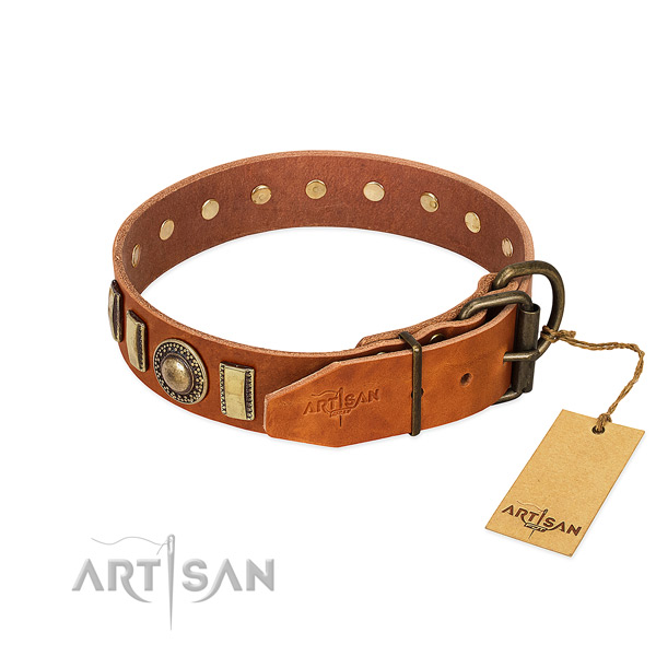 Stylish design genuine leather dog collar with reliable fittings
