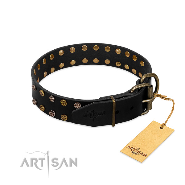 Full grain natural leather collar with remarkable embellishments for your dog